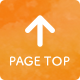 PAGE TOP