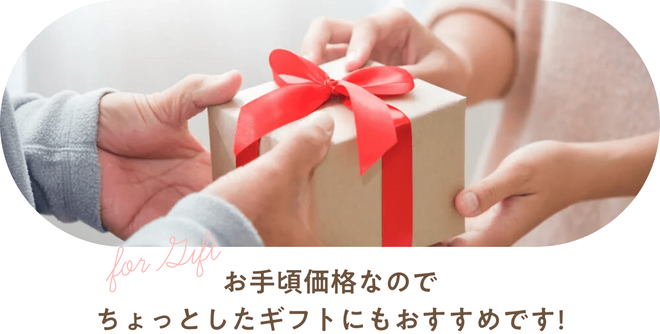 お手頃価格なのでちょっとしたギフトにもおすすめです！