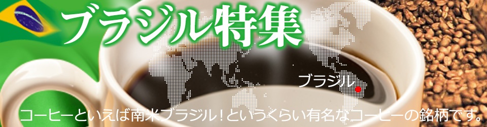 ブラジル特集