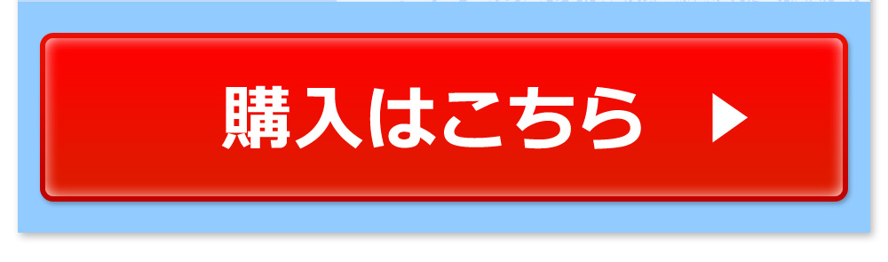 購入はこちら