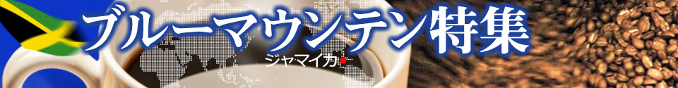 ブルーマウンテン特集