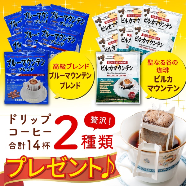 208ブルマン7P&ビルカ7P