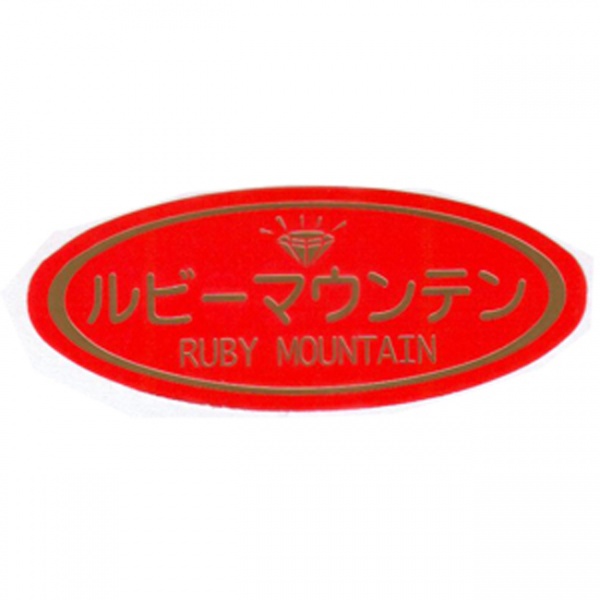 生豆ルビーマウンテン500g