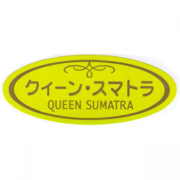 生豆クイーンスマトラ500g