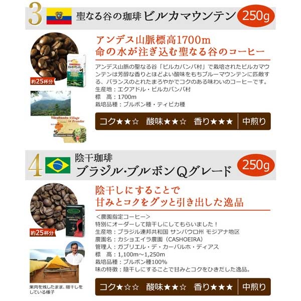 高級レギュラーコーヒー8種セット2kg 【広島発☆コーヒー通販カフェ工房】