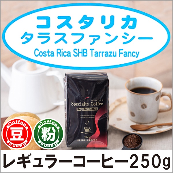 レギュラーコーヒー コスタリカSHBタラスファンシー250g【広島発☆コーヒー通販カフェ工房】