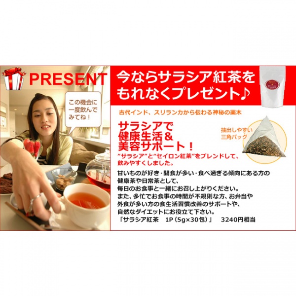 ゴールデンブレンドセット(500g×3袋）☆今ならサラシア紅茶プレゼント付