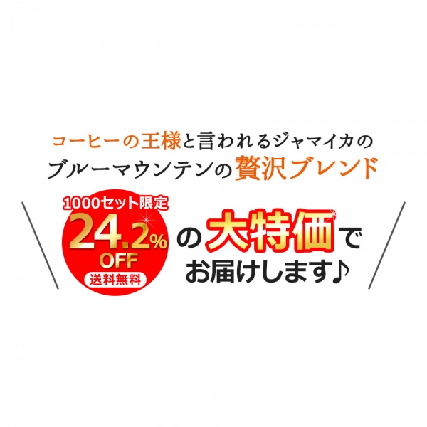 【特売】送料無料｜レギュラーコーヒーブルーマウンテンブレンド 500g×2個