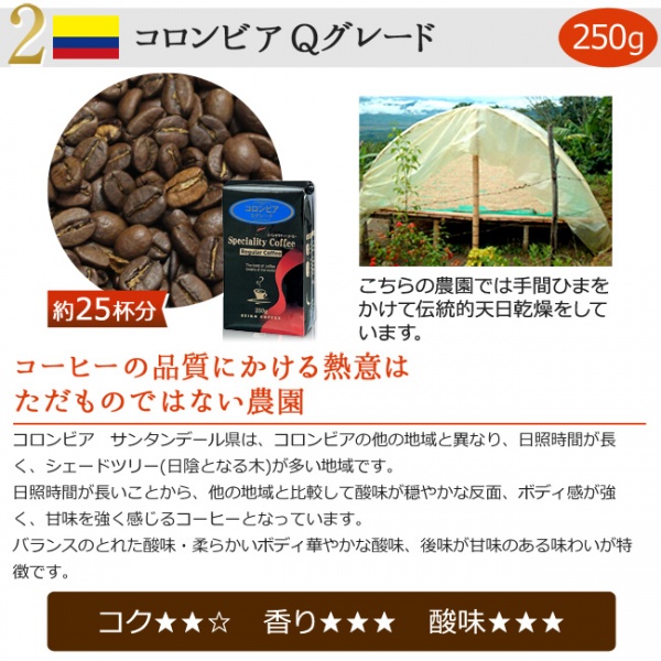 【リニューアル記念】【送料無料】セイコー珈琲ロゴ入り細口電気ケトル＆レギュラーコーヒー福袋【広島発☆コーヒー通販カフェ工房】