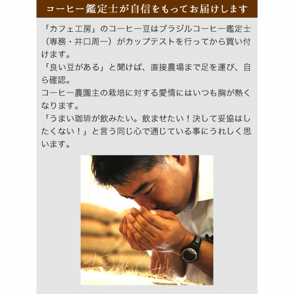 送料無料|ドリップコーヒー グァテマラ アンティグア 200袋