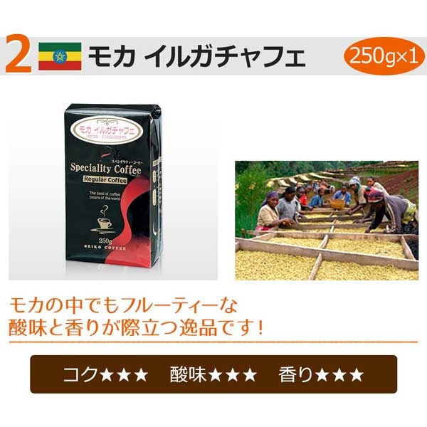送料無料【福袋】世界のスペシャルティコーヒー4種（レギュラーコーヒー）