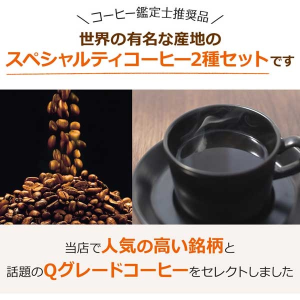 送料無料【福袋】レギュラーお試し2種セット（レギュラーコーヒー）