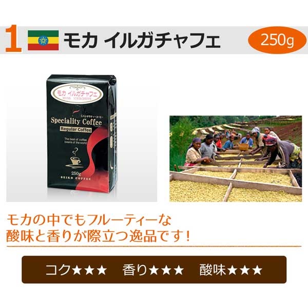送料無料【福袋】レギュラーお試し2種セット(レギュラーコーヒー)