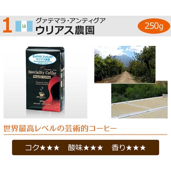 送料無料【福袋】レギュラーお試し3種セット(レギュラーコーヒー)