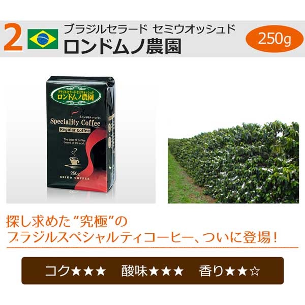 送料無料【福袋】レギュラーお試し3種セット(レギュラーコーヒー)