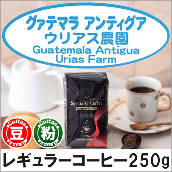 レギュラーコーヒー グァテマラ・アンティグア250g【広島発☆コーヒー通販カフェ工房】
