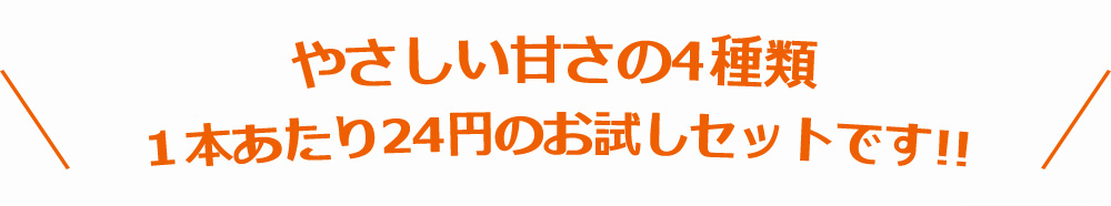 1本あたり24円スティック