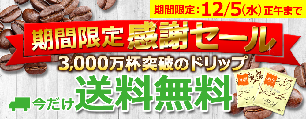 期間限定感謝セール
