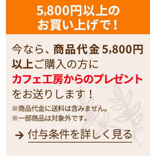 5800円以上のお買い上げで！