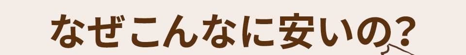 なぜこんなに安いの?