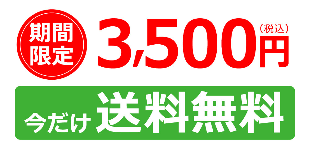 通常3,500円