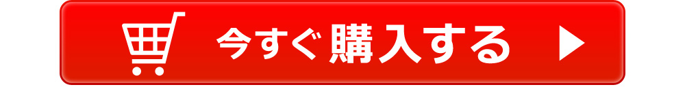 今すぐ購入する