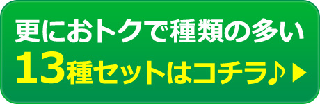 13種セットはコチラ