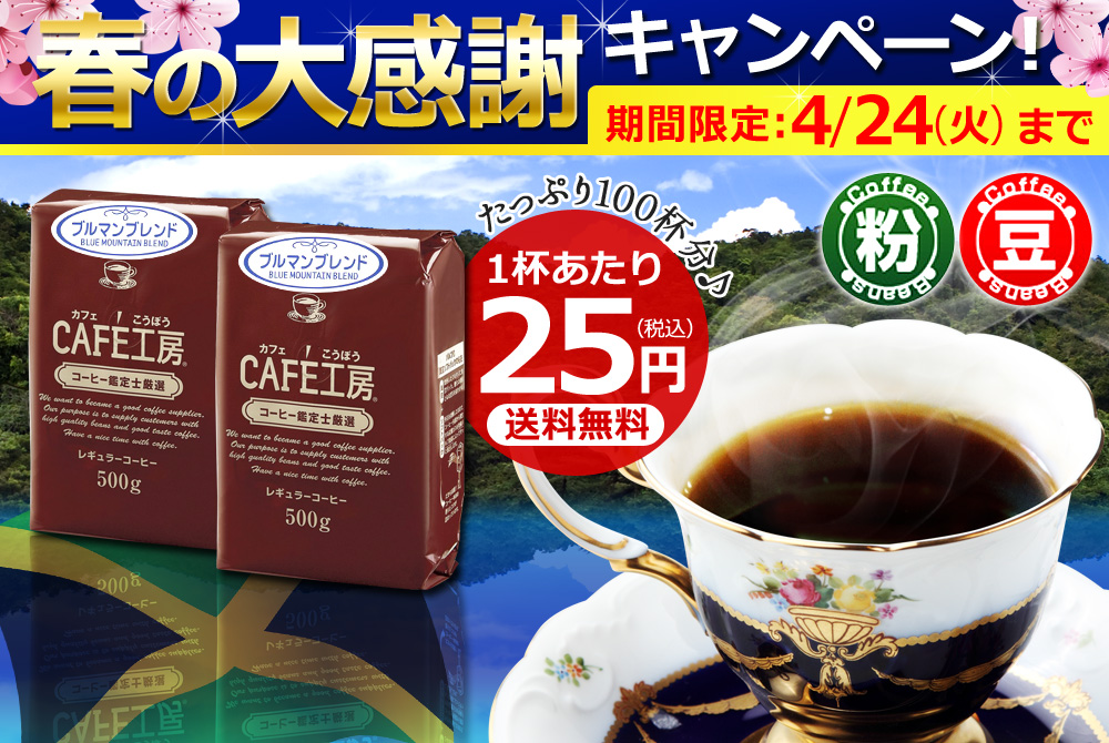 春の大感謝キャンペーン!