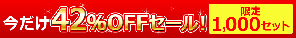 今だけ42%OFFセール!