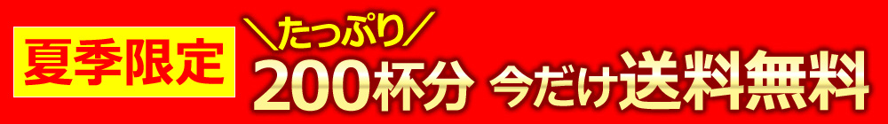 夏季限定 たっぷり200杯分 今だけ送料無料