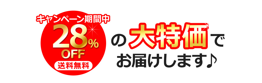 キャンペーン期間中28%OFF 送料無料 大特価でお届けします