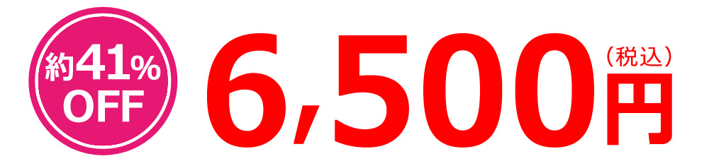 約41%off 6500円(税込み)