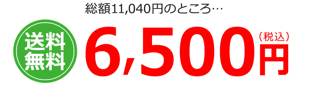 総額11040円のところ6500円(税込み)送料無料