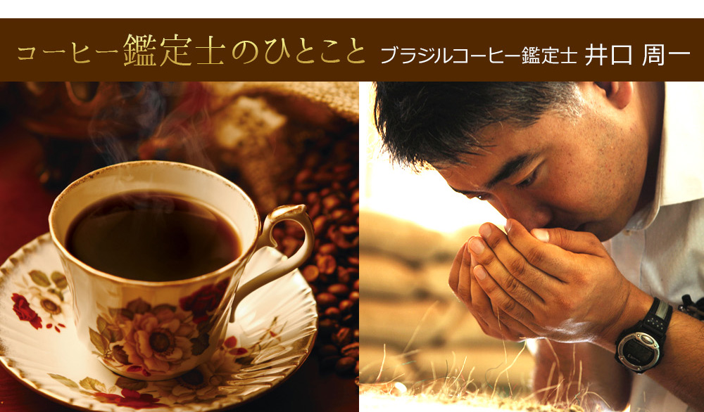 コーヒー鑑定士のひとこと ブラジルコーヒー鑑定士  井口周一