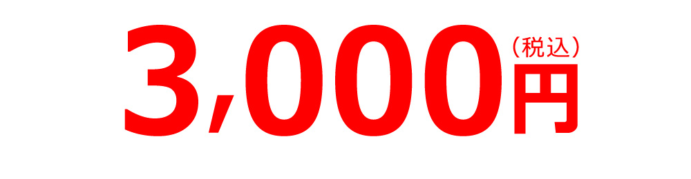 3000円(税込み)