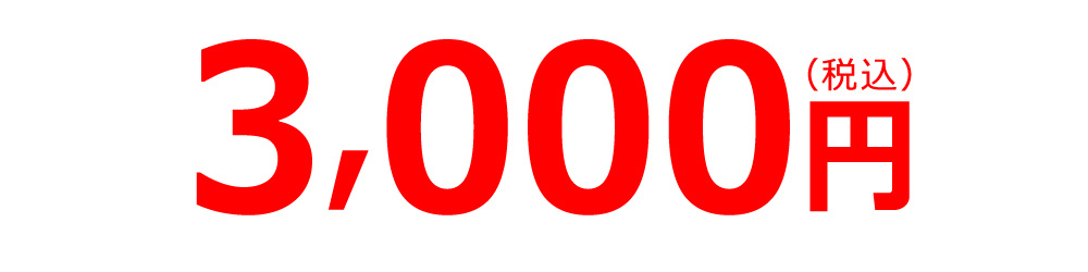 3000円(税込み)