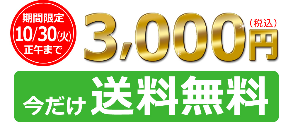 3000円(税込み)