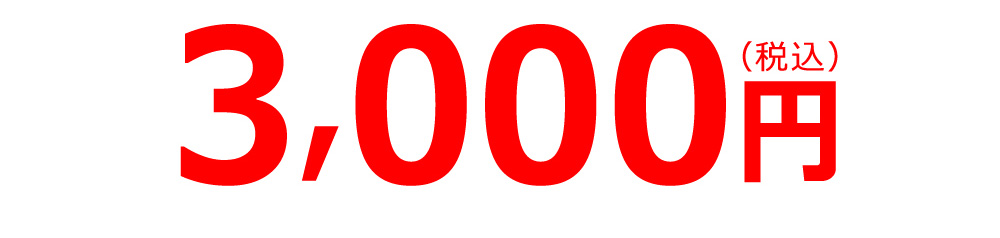 3000円(税込み)