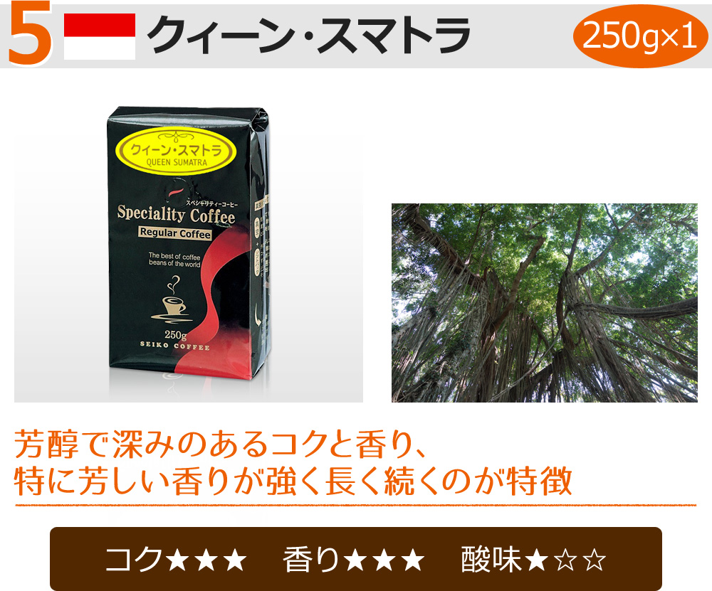 クィーン・スマトラ