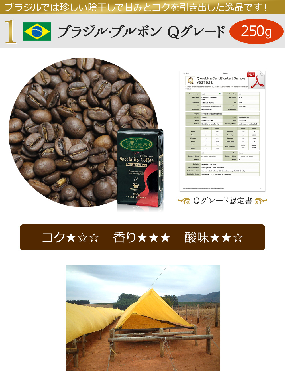 ブラジル・ブルボン Qグレード
