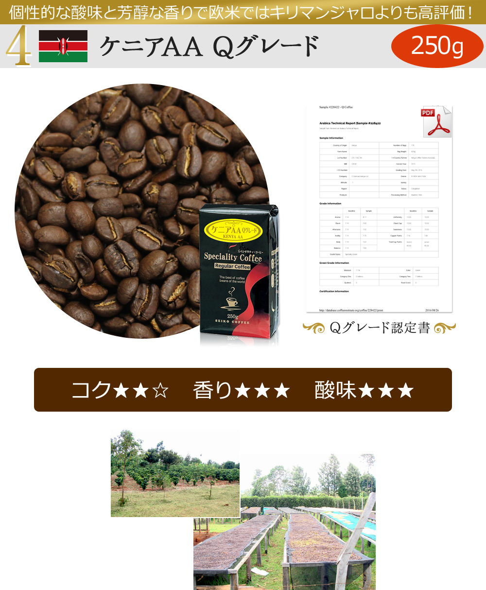 ケニアAA Qグレード