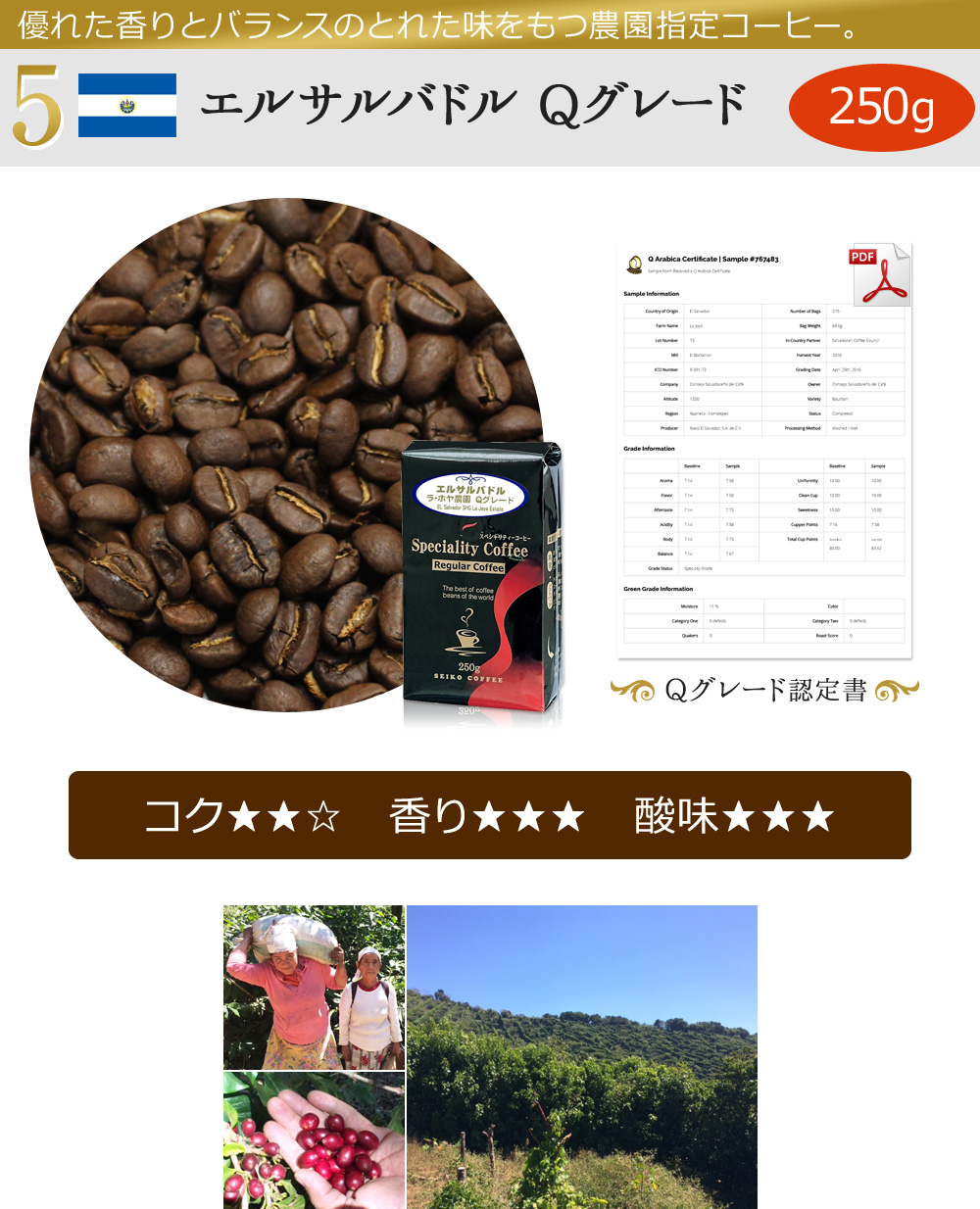 エルサルバドル Qグレード