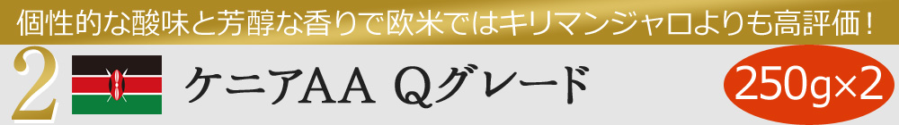 2ケニアAA Qグレード