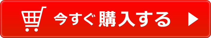 今すぐ購入する